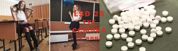 apvp Дмитриев