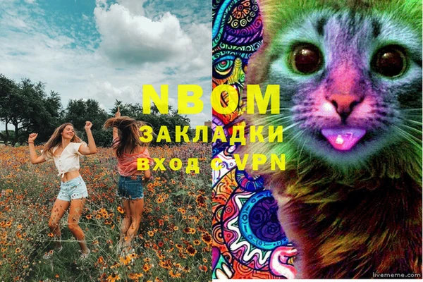 apvp Дмитриев