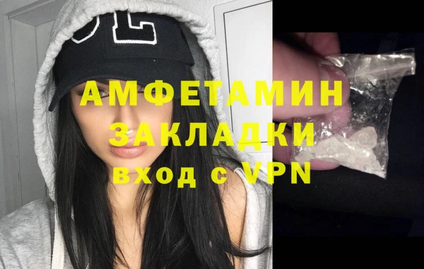 твердый Дмитров