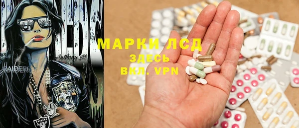 твердый Дмитров