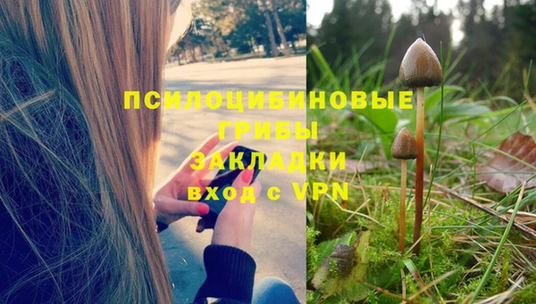 apvp Дмитриев