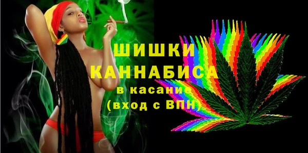 твердый Дмитров