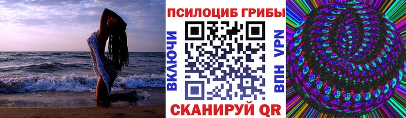 Псилоцибиновые грибы прущие грибы  Купить где  Катайск 